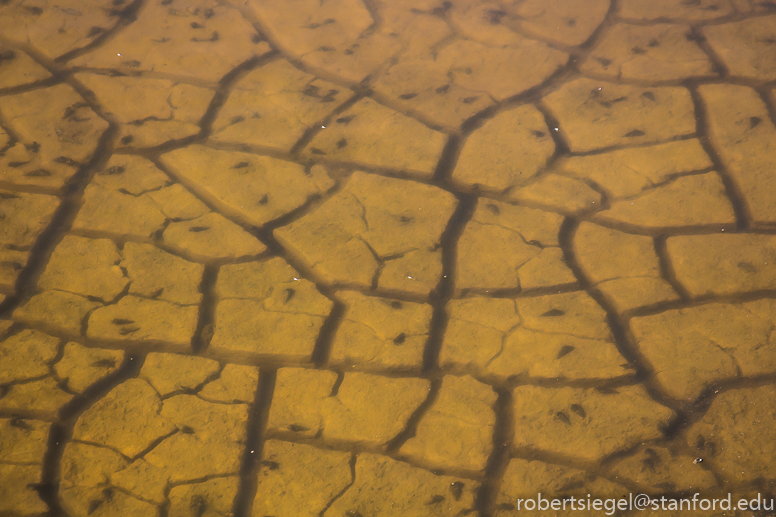 baylands